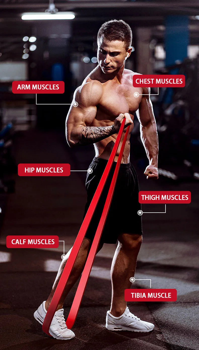 Resistance Bands For Strength Training